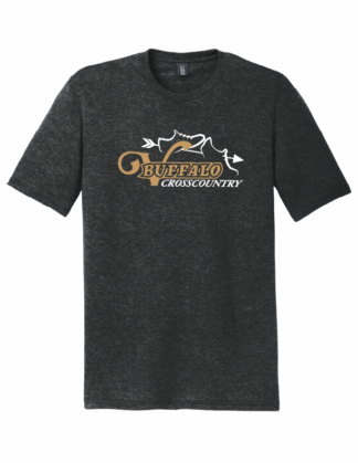 Men's Black Frost S/S Triblend Tee (DM130)