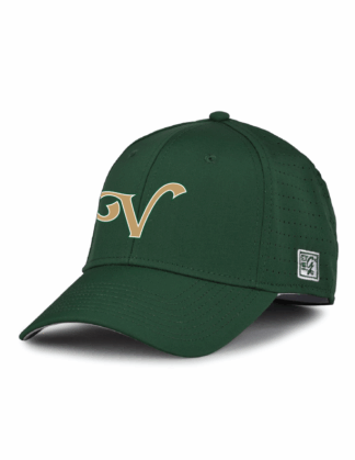 The Game V Flex Fit Perforated Cap