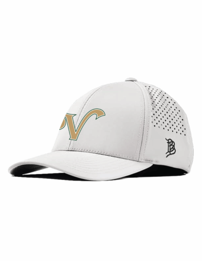 Branded Bills V Perforated Performance Cap - Image 5