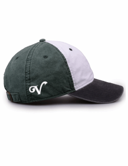 The Game Buffalo Nation Color Block Cap - Image 2