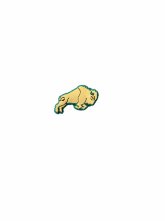 Leaping Buffalo Jibbitz
