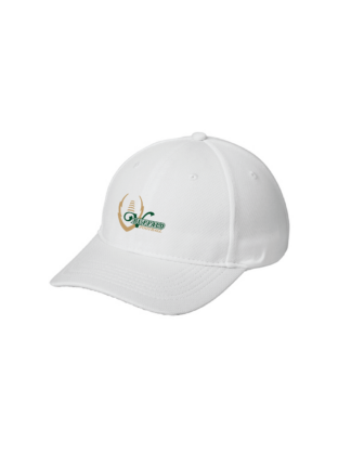 Buffalo Football Brushed RacerMesh Cap