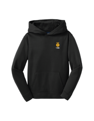 Youth VCMS FFA DriFit Hooded Sweatshirt